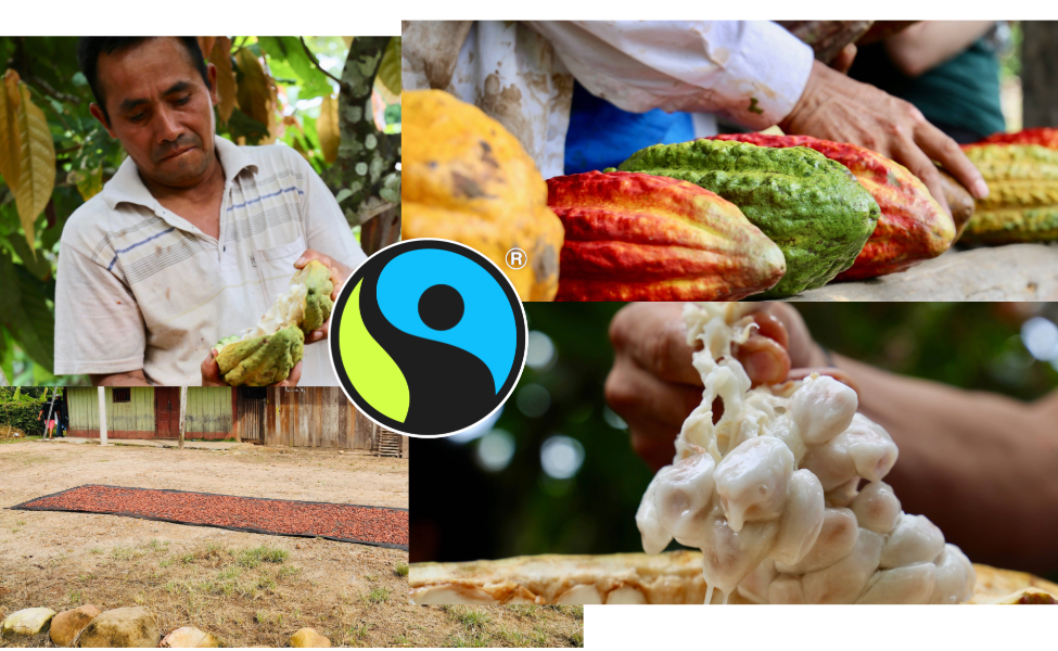 Why Fairtrade Matters in the Chocolate Supply Chain